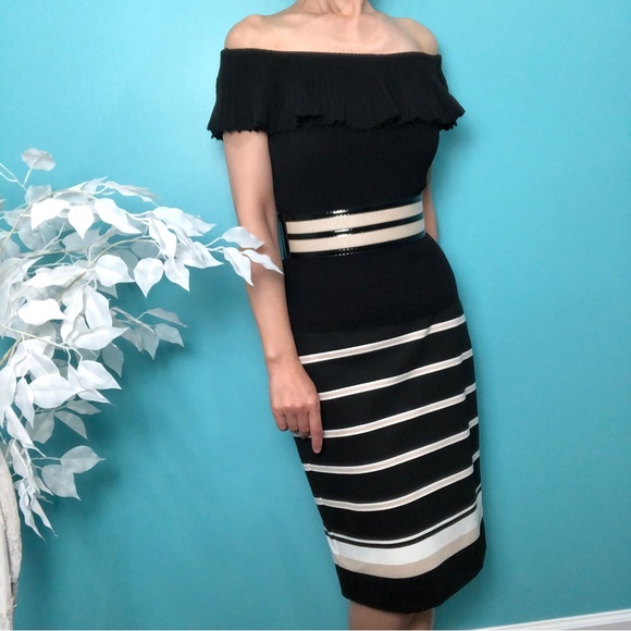 White House Black Market (WHBM) Tan and White Stripped Black Ponté Pencil Skirt - Picture 2 of 10